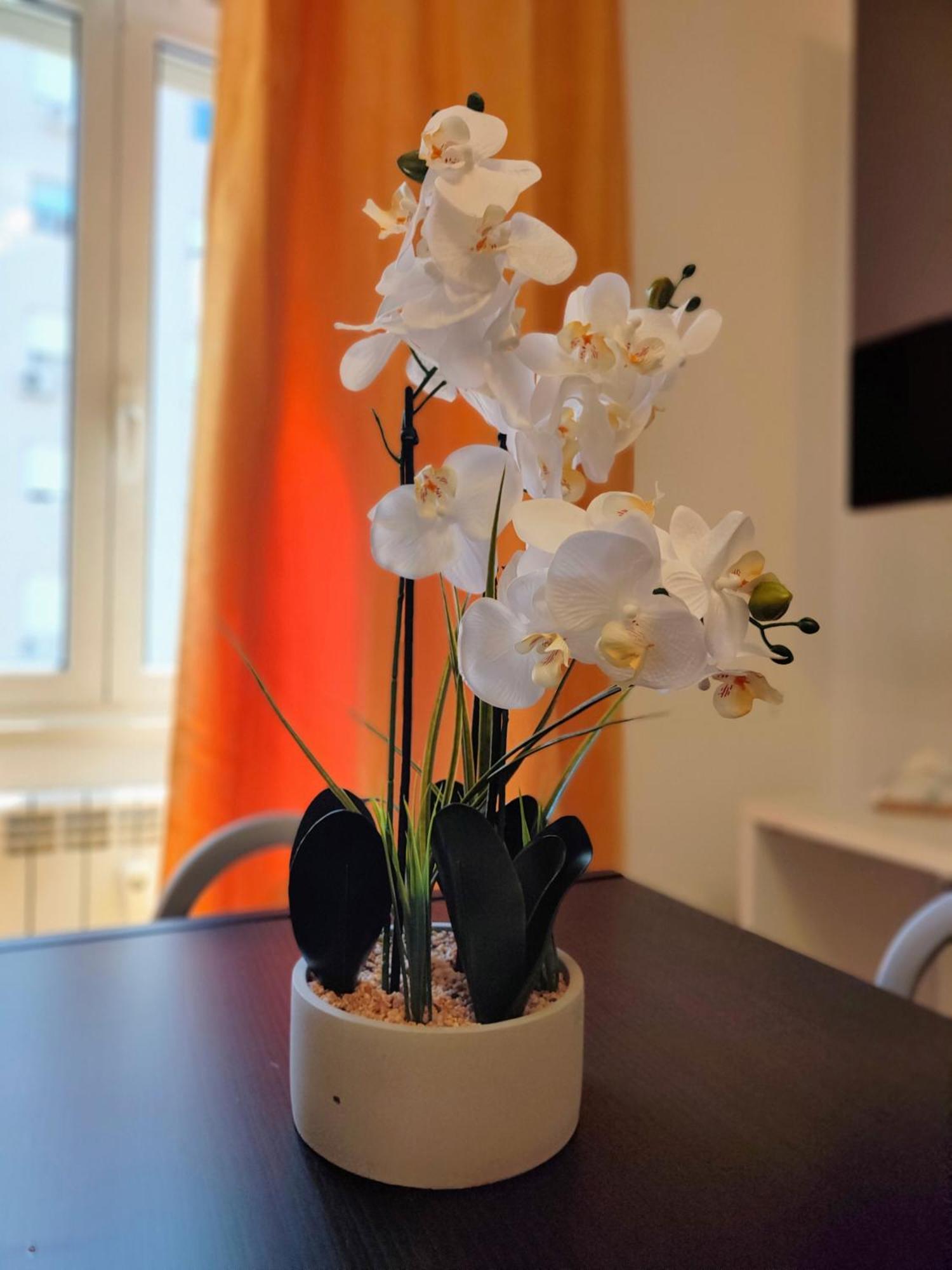 Casa Roma Marconi Lejlighed Eksteriør billede